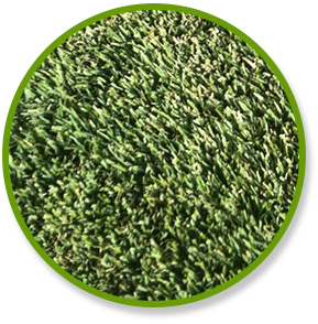 Cutlass Zoysia