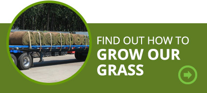 Find out how to grow your grasses