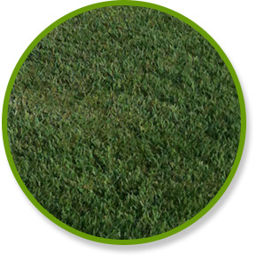 JaMur Zoysia